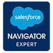 salesforce navigator expert badge